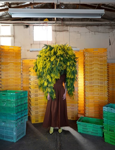 Photo by Florence Charvin Photography of A person in a brown dress stands among yellow and green plastic crates, with their head obscured by a large arrangement of yellow flowers and green foliage.