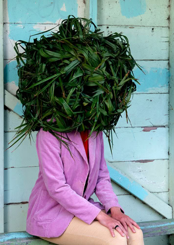 Photo by Florence Charvin Photography of A person wearing a pink jacket and beige trousers sits against a weathered wooden wall, with their head covered entirely by a large ball of green leaves.