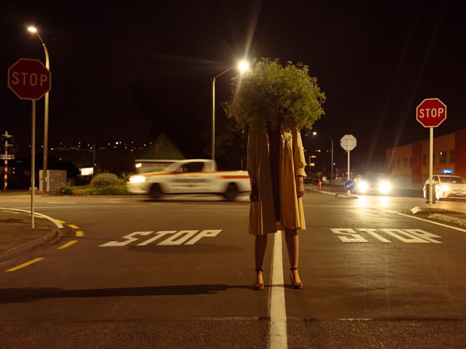 Photo by Florence Charvin Photography of A person stands in the middle of a road at night with a bush obscuring their head, surrounded by stop signs and moving vehicles.
